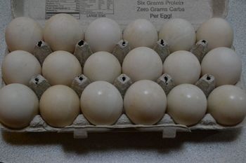 Яйцо инкубационное утиное Агидель
